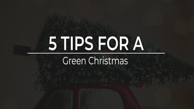 Our 5 Tips For A Sustainable Christmas Celebration